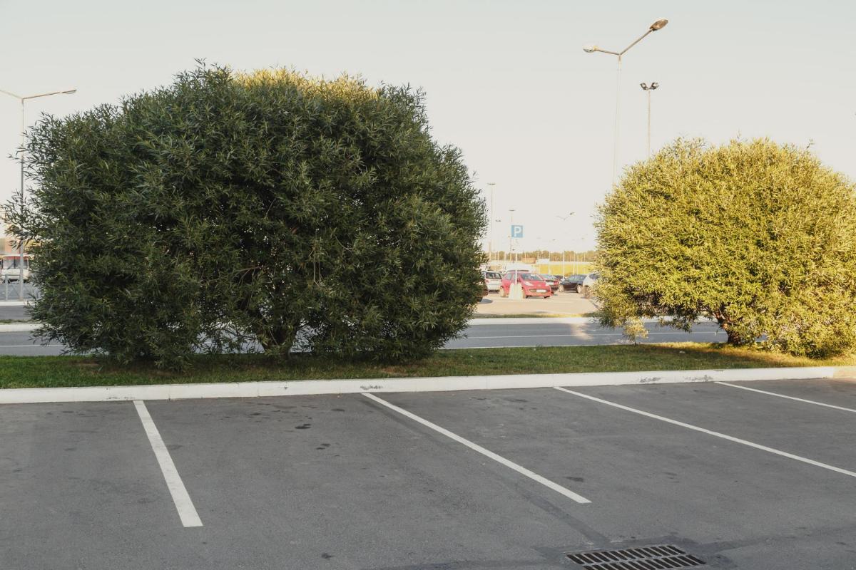 The Importance of Parking Lot Repairs